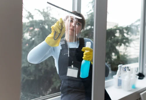 Nettoyage de vitres intérieures et extérieures à Néron